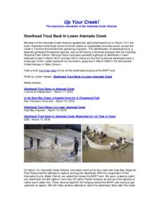 Up Your Creek! The electronic newsletter of the Alameda Creek Alliance Steelhead Trout Back In Lower Alameda Creek Members of the Alameda Creek Alliance spotted two adult steelhead trout on March 10 in the lower Alameda 