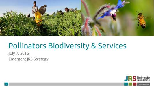 Pollinators Biodiversity & Services July 7, 2016 Emergent JRS Strategy 1