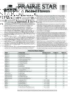 PRAIRIE STAR Annual Flowers A collection of annual flowers tested by K-State for the prairie climate. Prairie Star annual flowers are cultivars proven best adapted to the challenging prairie climate. The plants listed ha