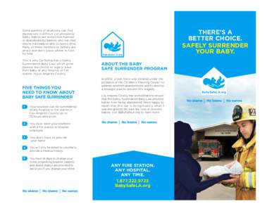 ISS_Trifold_Brochure_Englishcl.indd