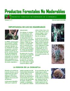 Productos Forestales No Maderables P RO DU C TO S FO RE S TALES N O M ADERAB LES DE LA C HIN AN TLA Volumen 1, nº 1 Fecha del boletín JULIO 2006