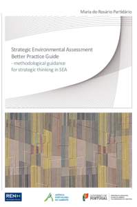 Maria do Rosário Partidário  Strategic Environmental Assessment Better Practice Guide - methodological guidance for strategic thinking in SEA