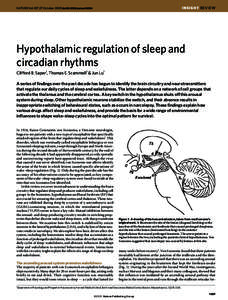 INSIGHT REVIEW  NATURE|Vol 437|27 October 2005|doi:nature04284 Hypothalamic regulation of sleep and circadian rhythms