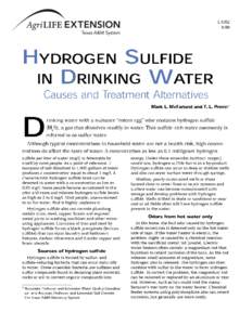 Hydrogen Sulfide in Drinking Water - Causes and Treatment Alternatives