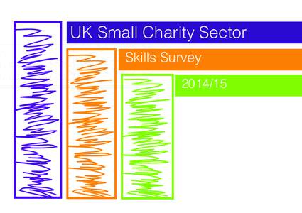 UK Small Charity Sector Skills Survey Content