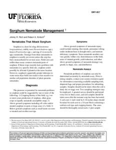 ENY-007  Sorghum Nematode Management 1 Jimmy R. Rich and Robert A. Kinloch2  Nematodes That Attack Sorghum