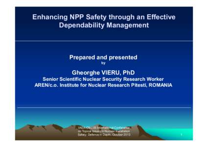 Enhancing NPP Safety through an Effective Dependability Management Prepared and presented by