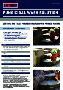 BRITANNIA  DATA SHEET FUNGICIDAL WASH SOLUTION CONTROLS AND TREATS FUNGAL AND ALGAL GROWTH PRIOR TO PAINTING