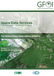 Space Data Services Support for National Forest Monitoring Systems The Global Forest Observations Initiative  Version 1.1