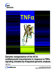 Dynamic reorganization of the AC16 cardiomyocyte transcriptome in response to TNFα signaling revealed by integrated genomic analyses Luo et al. Luo et al. BMC Genomics 2014, 15:155 http://www.biomedcentral.com