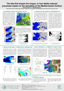 The tide that shapes the tongue, or how tidally-induced processes impact on the spreading of the Mediterranean Outflow Alfredo Izquierdo1,2 & Uwe Mikolajewicz1 (1)Max Planck Institute for Meteorology, Hamburg, Germany; (