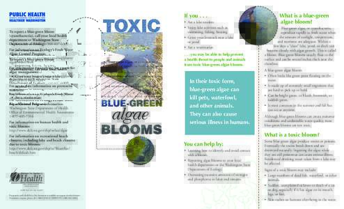 Toxic Blue-Green Algae Blooms