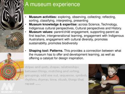 A museum experience • Museum activities: exploring, observing, collecting; reflecting, sorting, classifying, interpreting, presenting • Museum knowledge & expertise: across Science, Technology, Indigenous cultural pe