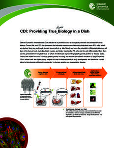 Human  CDI: Providing True Biology in a Dish ^  Cellular Dynamics International’s (CDI) mission is to provide access to biologically relevant and predictive human