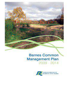 Management Plan, Barnes Common