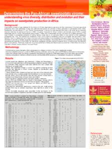 Determining the Pan-African sweetpotato virome:  understanding virus diversity, distribution and evolution and their impacts on sweetpotato production in Africa Background Food security remains a huge challenge for the m