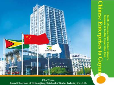 Profile of Guyana-China Timber Industry Economic & Trading Cooperation Park Chinese Enterprises to Guyana Chu Wenze Board Chairman of Heilongjiang Baishanlin Timber Industry Co., Ltd.