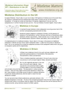 Mistletoe Information Sheet No1: Distribution in the UK Information about Viscum album, the native mistletoe of Britain & Northern Europe  Mistletoe Distribution in the UK