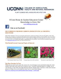 UConn Home & Garden Education Center Knowledge to Grow On! www.ladybug.uconn.edu Like us on Facebook! DECEMBER IS FOR DISH GARDENS, DEER FENCING & CREEPING
