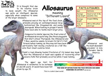 Allosaurus  It is thought that due to its relative brain to body weight, the Allosaurus meaning