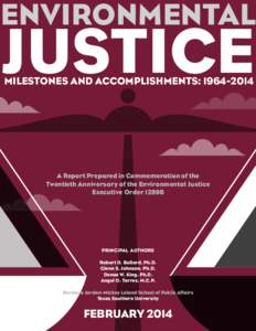 ENVIRONMENTAL  JUSTICE MILESTONES AND ACCOMPLISHMENTS: A Report Prepared in Commemoration of the