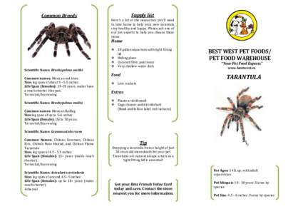 Supply list  Common Breeds Here’s a list of the necessities you’ll need to take home to help your new tarantula