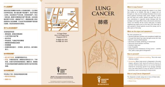 LUNG CANCER HUB SYNERGY POINT