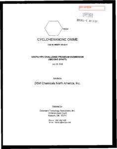 Robust Summaries & Test Plan: Cyclohexanone Oxime; Revised Test Plan