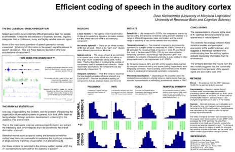 Efficient coding of speech in the auditory cortex Dave Kleinschmidt (University of Maryland Linguistics/ University of Rochester Brain and Cognitive Science) THE BIG QUESTION: SPEECH PERCEPTION Speech perception is an ex