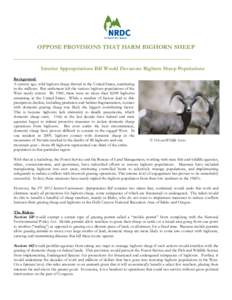 OPPOSE PROVISIONS THAT HARM BIGHORN SHEEP Interior Appropriations Bill Would Devastate Bighorn Sheep Populations Background: A century ago, wild bighorn sheep thrived in the United States, numbering in the millions. But 