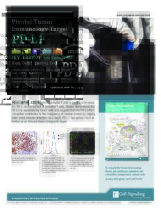 www.cellsignal.com/pdl1info  Pivotal Tumor Immunology Target  PD-L1