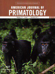 American Journal of Primatology 00:1–[removed]RESEARCH ARTICLE