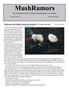 MushRumors The Newsletter of the Northwest Mushroomers Association Volume 22 IssueApril Prologue