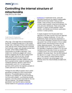 Controlling the internal structure of mitochondria