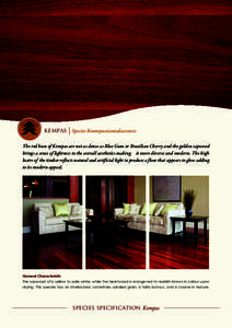 kempas Species Koompassiamalaccensis The red hues of Kempas are not as dense as Blue Gum or Brazilian Cherry and the golden sapwood brings a sense of lightness to the overall aesthetics making it more diverse and modern.