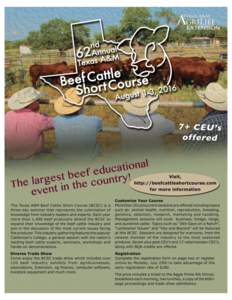 Agriculture / Cattle / Livestock / Food and drink / Ranch / Calf / Grazing / Bull / Beef / Hay / Cattle feeding