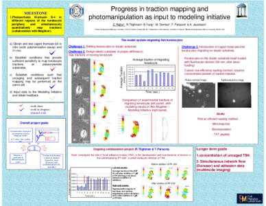 Progress in traction mapping and photomanipulation as input to modeling initiative MILESTONE 1.Photoactivate thymosin B-4 in different regions of the keratocyte