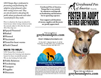 GPA Tampa Bay is dedicated to promoting and facilitating the adoption of greyhounds when their racing careers end. They are also devoted to educating the public about greyhounds and what