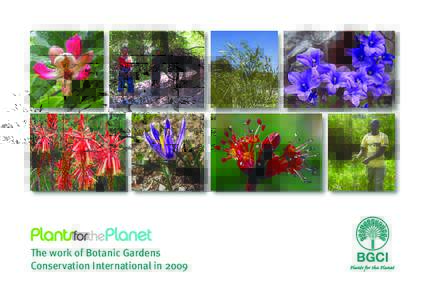 The work of Botanic Gardens Conservation International in 2009 Plants for the Planet The work of Botanic Gardens Conservation International in