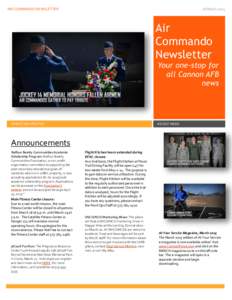 AIR COMMANDO NEWSLETTER  18 March 2015 Air Commando