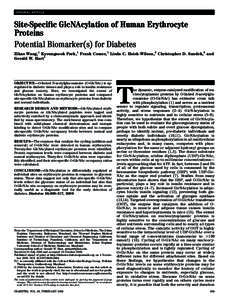 ORIGINAL ARTICLE  Site-Specific GlcNAcylation of Human Erythrocyte Proteins Potential Biomarker(s) for Diabetes Zihao Wang,1 Kyoungsook Park,1 Frank Comer,1 Linda C. Hsieh-Wilson,2 Christopher D. Saudek,3 and