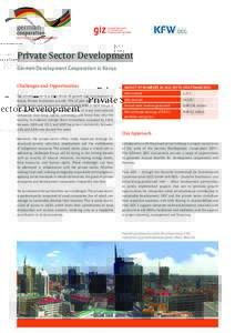 Private Sector Development German Development Cooperation in Kenya Challenges and Opportunities The private sector is a main driver of growth and development in Kenya. Private businesses provide 70% of jobs and income in