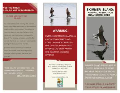NESTING BIRDS SHOULD NOT BE DISTURBED! SKIMMER ISLAND: NATURAL HABITAT FOR ENDANGERED BIRDS
