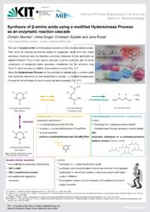 Institute of Process Engineering in Life Sciences Section II: Technical Biology Synthesis of β-amino acids using a modified Hydantoinase Process as an enzymatic reaction cascade Christin Slomka*, Ulrike Engel, Christoph