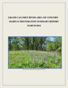 GRAND CALUMET RIVER AREA OF CONCERN HABITAT RESTORATION SUMMARY REPORT MARCH 2014 Photo provided by Paul Labus, The Nature Conservancy