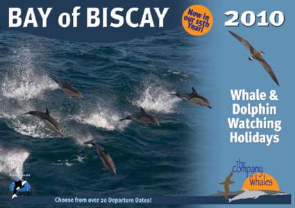 The Bay of Biscay There are few locations in the world that offer such an extraordinary diversity of marine life as the Bay of