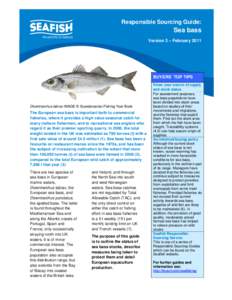 Seafish Responsible Sourcing Guide: Sea bass