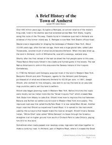 A Brief History _Amherst Museum_.doc