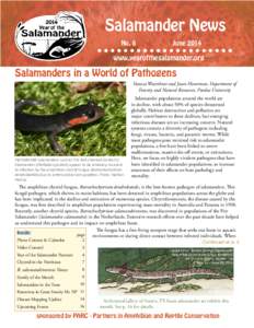Salamander News No. 6 June 2014
