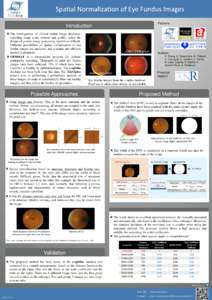 Spatial Normalization of Eye Fundus Images Partners: Introduction  The heterogeneity of clinical retinal image databases, regarding image scale, contrast and quality, makes the